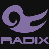 RADIX公式